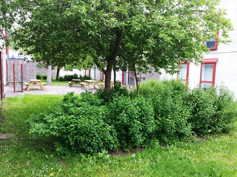 Udend�rs opholdsomr�de